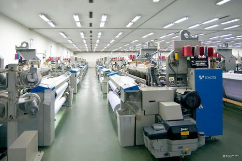 看準(zhǔn)網(wǎng)