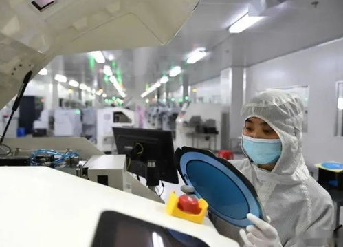 美專家 拜登需用盡所有手段,才能讓美資撤離,令中國無芯片可用